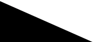 Black/White*