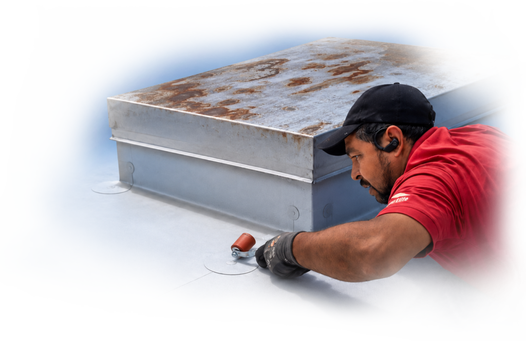 Repair & Maintenance